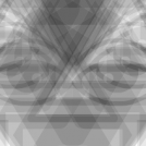 the face