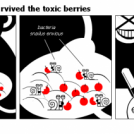 How the monkey survived the toxic berries