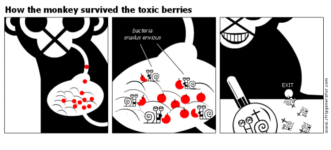 How the monkey survived the toxic berries