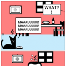 GATOS en CASA