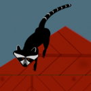 Raccoon Revenge!