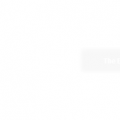 Beatles White Album