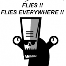 FLIES !