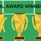 Stihl Award Winners