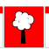 L'Albero