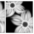 More Flowers