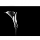 images of nature: calla lily
