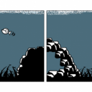 Capture of Birdie
