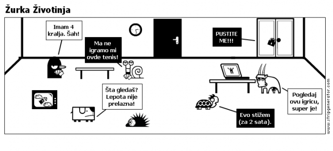 Žurka Životinja