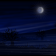Blue night