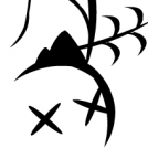 zek - death bird