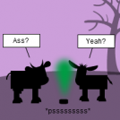 Cow and Co. 43