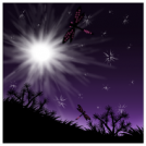 Summer starlight