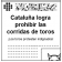 Corridas de toros