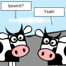 Cow tipping (Cow and Co. 9)