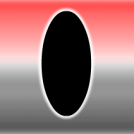 The Portal
