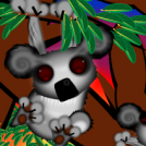 koala bear...