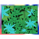 Garden grow