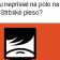 Premiér a pólo na Strbskom plese