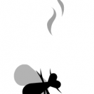 The fly