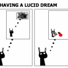 THE IMPORTANCE OF HAVING A LUCID DREAM