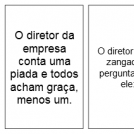 Diretor da Empresa