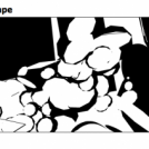 Elements of landscape