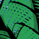 Fronds
