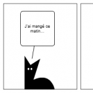 Sounami le chat