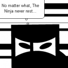 Ninja Facts!