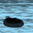 the castaway