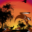 spirit of the outback...