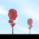 red tree in library