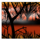 Orange Homage