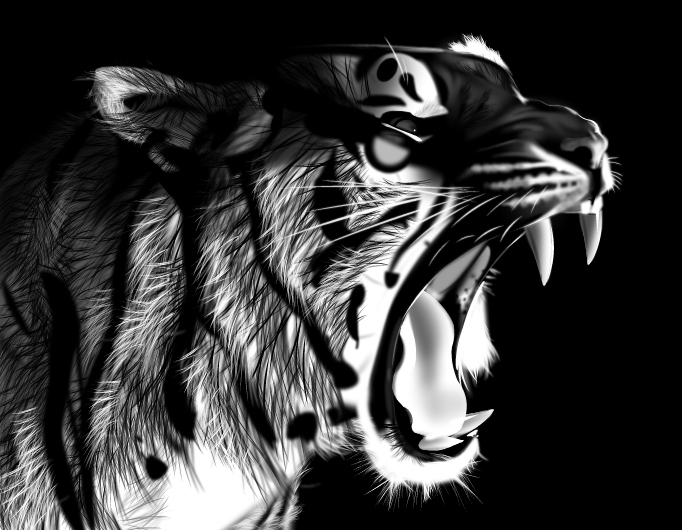 images of nature: bengal tiger