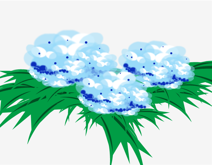 Hortensia