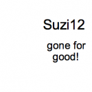 Suzi12