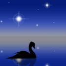 Magical night