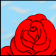 A Rose For You