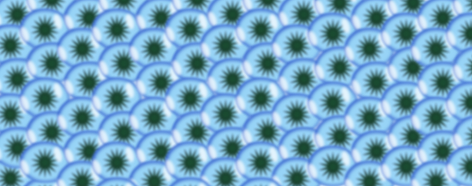 Blue Eyes or bodycells or ...