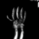 Chemical Brothers: X-ray