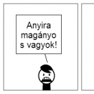 SomJoe magányos