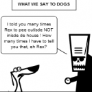 What We Say To Dogs