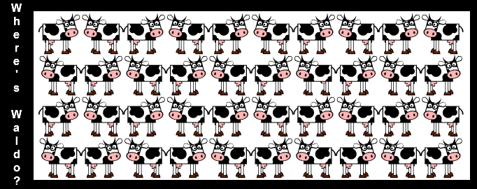 International "Have a cow"-day (Cow and Co. 5)