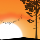 Birds?