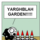 Zoltar garden gnomes (2)
