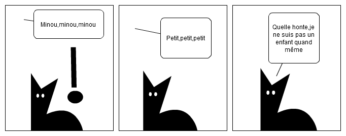 Sounami le chat