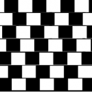 These Lines are Straight.