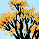 Autumnal Glory