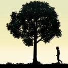 The tree
